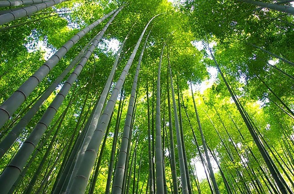 The Grandwest Arashiyama Lejlighedshotel Kyoto Eksteriør billede
